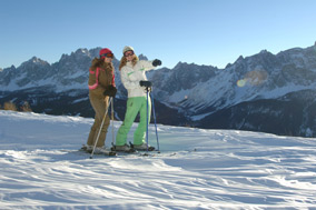 Servizio skibus